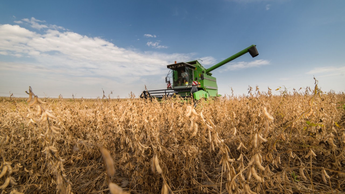 Colheita de soja no Paraná atinge 70% da área plantada